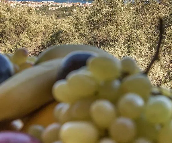 Maria & George Apartment *